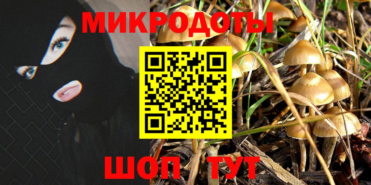Псилоцибиновые грибы MAGIC MUSHROOMS  Вход с VPN  Галлюциногенные грибы ЛСД  Бузулук 