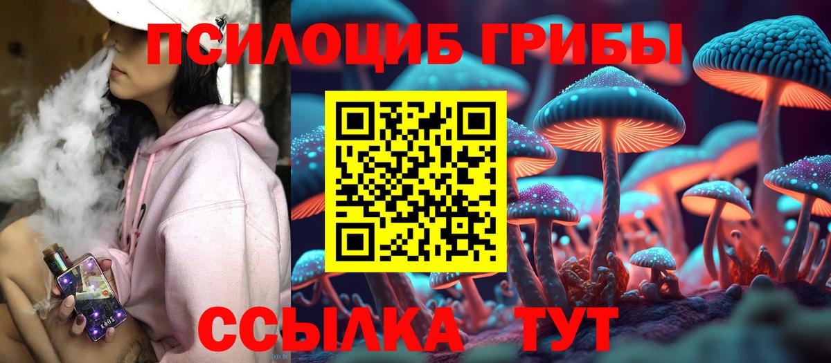 Галлюциногенные грибы GOLDEN TEACHER Бузулук